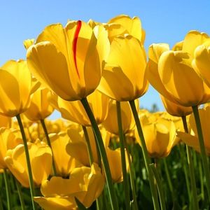 Meet your Posher, Kennedy